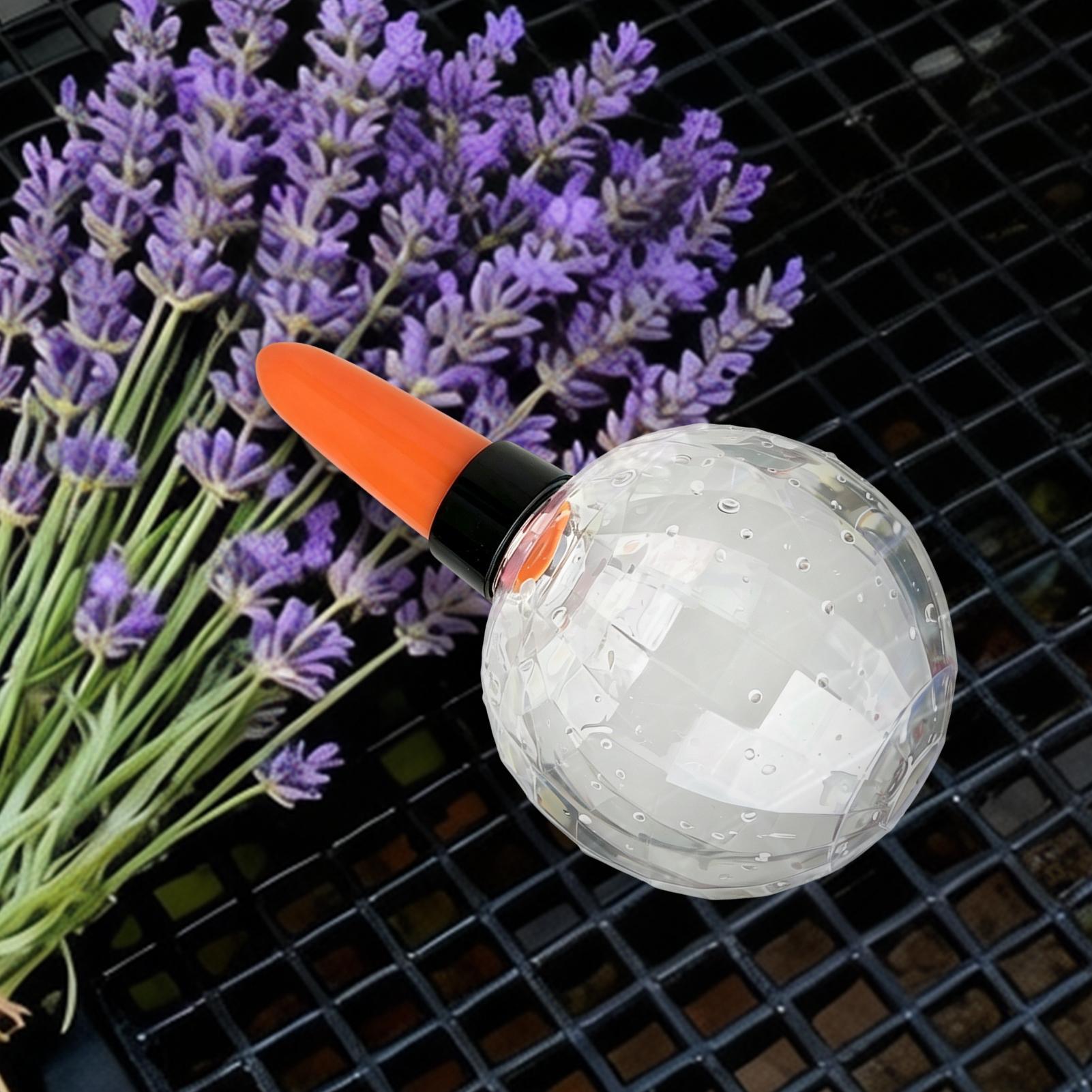 Self Watering Insert - Inserto para Vaso Autoirrigável 500ml, Globos