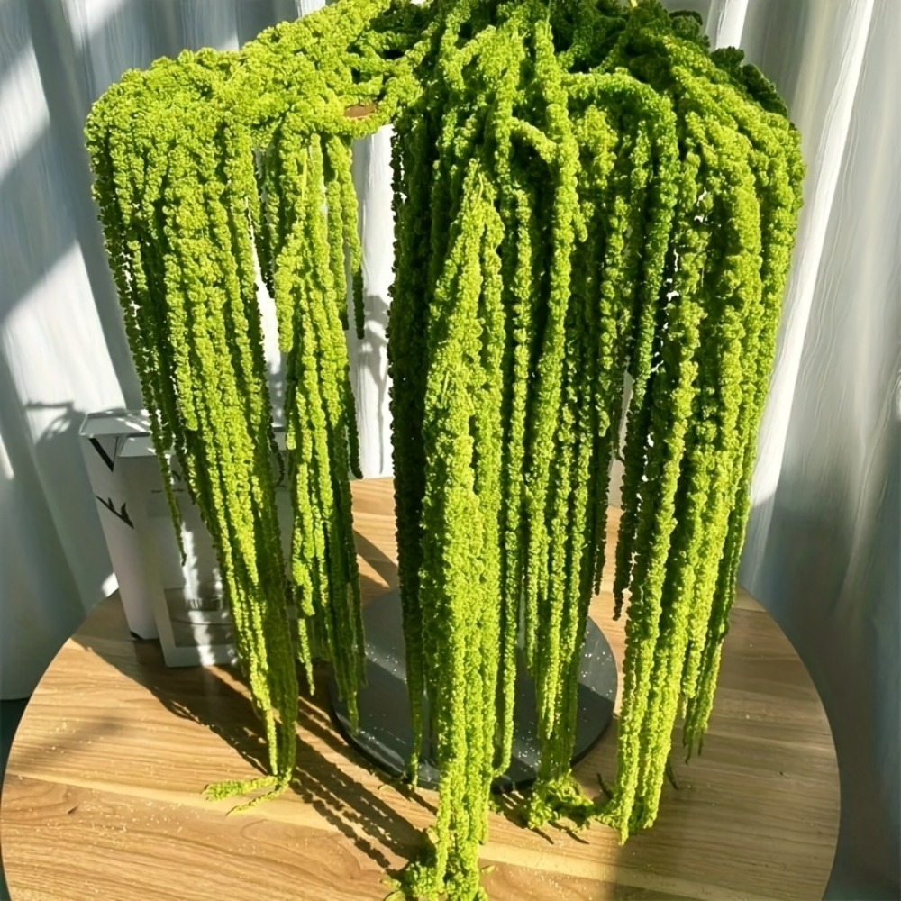 Conjunto de 4 Peças de Flores  - Sphagnum Moss Dry avaliação e preço
