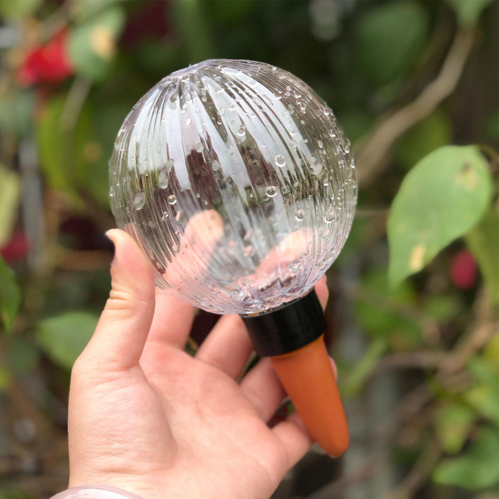 Inserto para Vaso Autoirrigáve - Self Watering Insert avaliação e preço