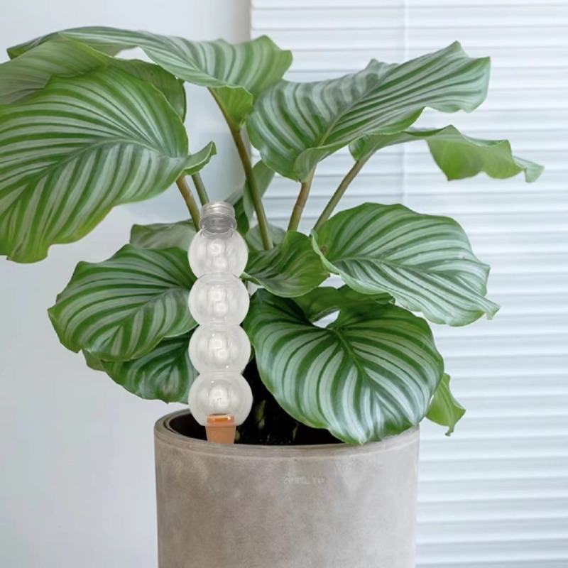 1/2/4 Peças Dispositivo de Irr - Self Watering Insert avaliação e preço