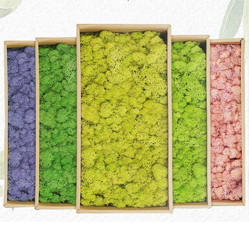 Plantas Verdes Artificiais Vid - Sphagnum Moss Dry avaliação e preço