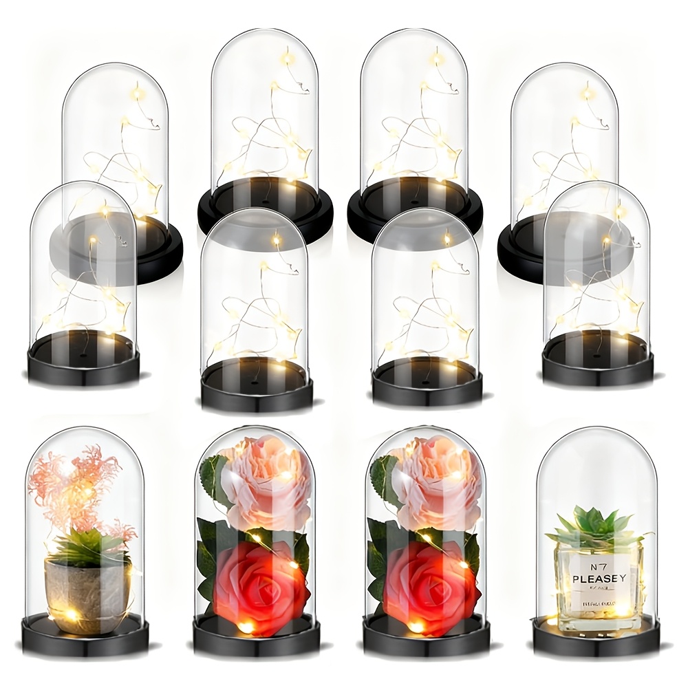 Caixa de Decoração com Bola de - Plastic Dome Clear avaliação e preço